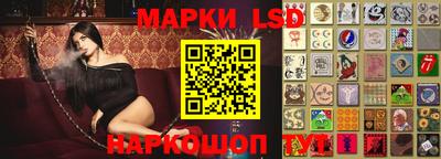 альфа пвп Новодвинск