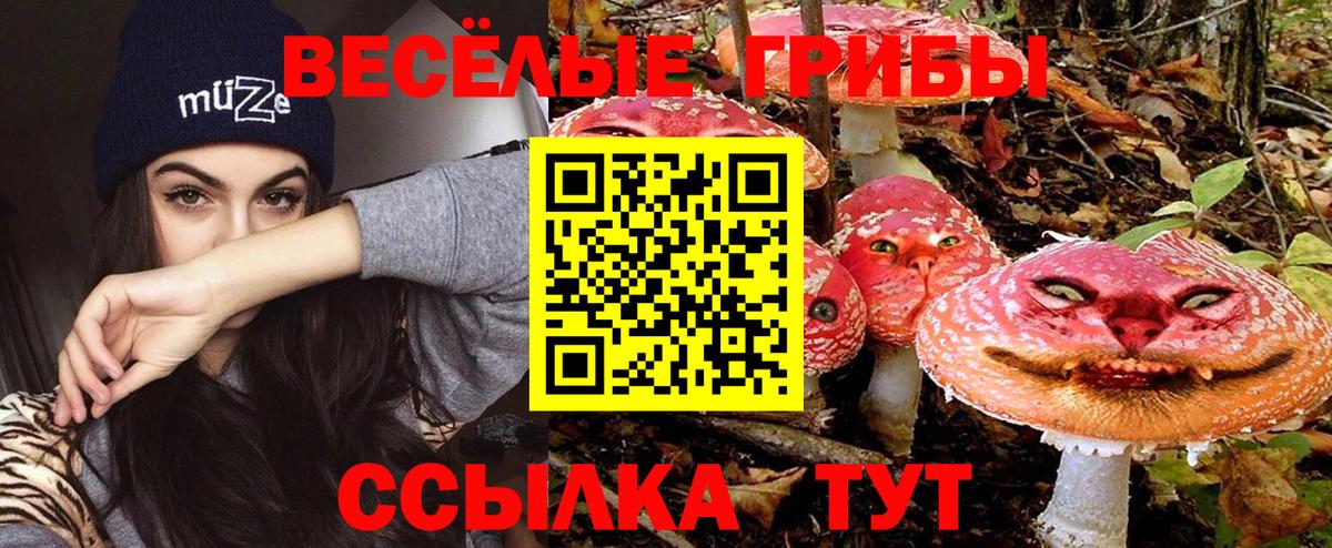 Галлюциногенные грибы MAGIC MUSHROOMS Симферополь